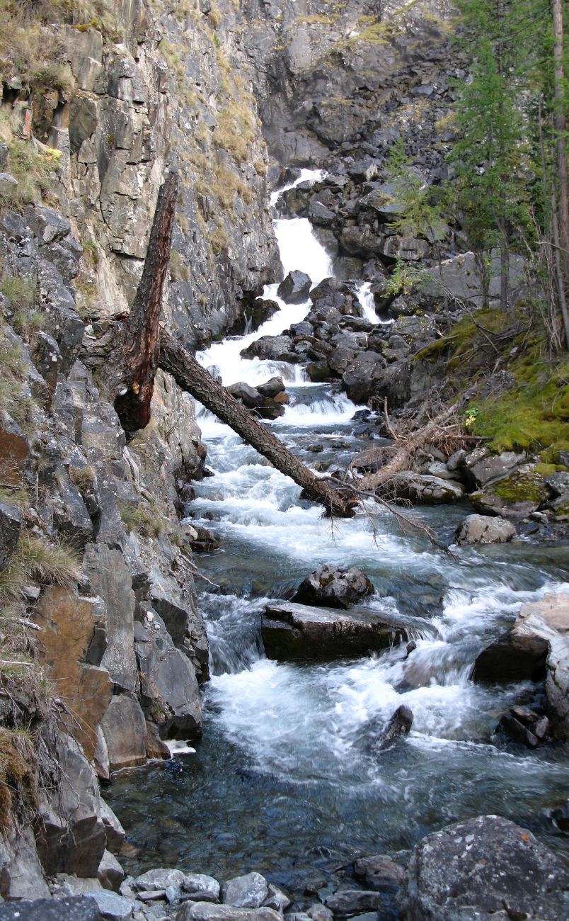 Ущелье реки Текелю, изображение ландшафта.