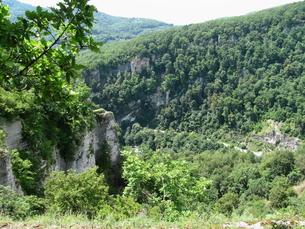 Окр. села Ахштырь, изображение ландшафта.