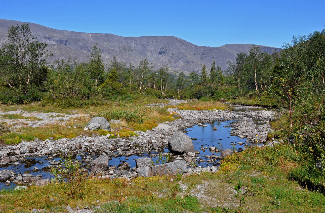 Долина реки Рисйок, image of landscape/habitat.