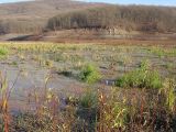 Неберджаевское водохранилище, изображение ландшафта.