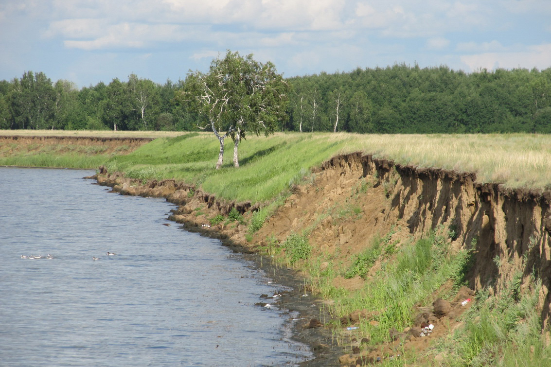 Озеро Горькое, изображение ландшафта.