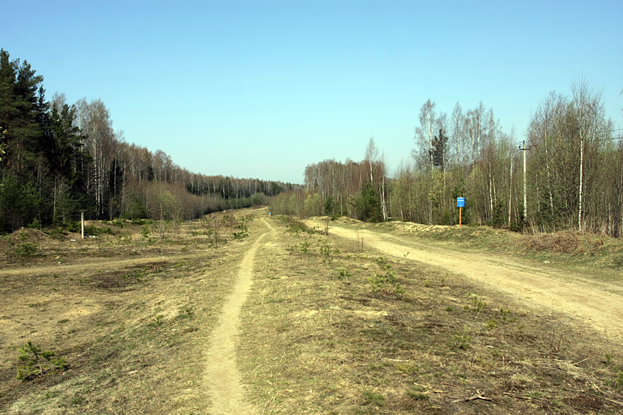 Окрестности Сертолово, изображение ландшафта.