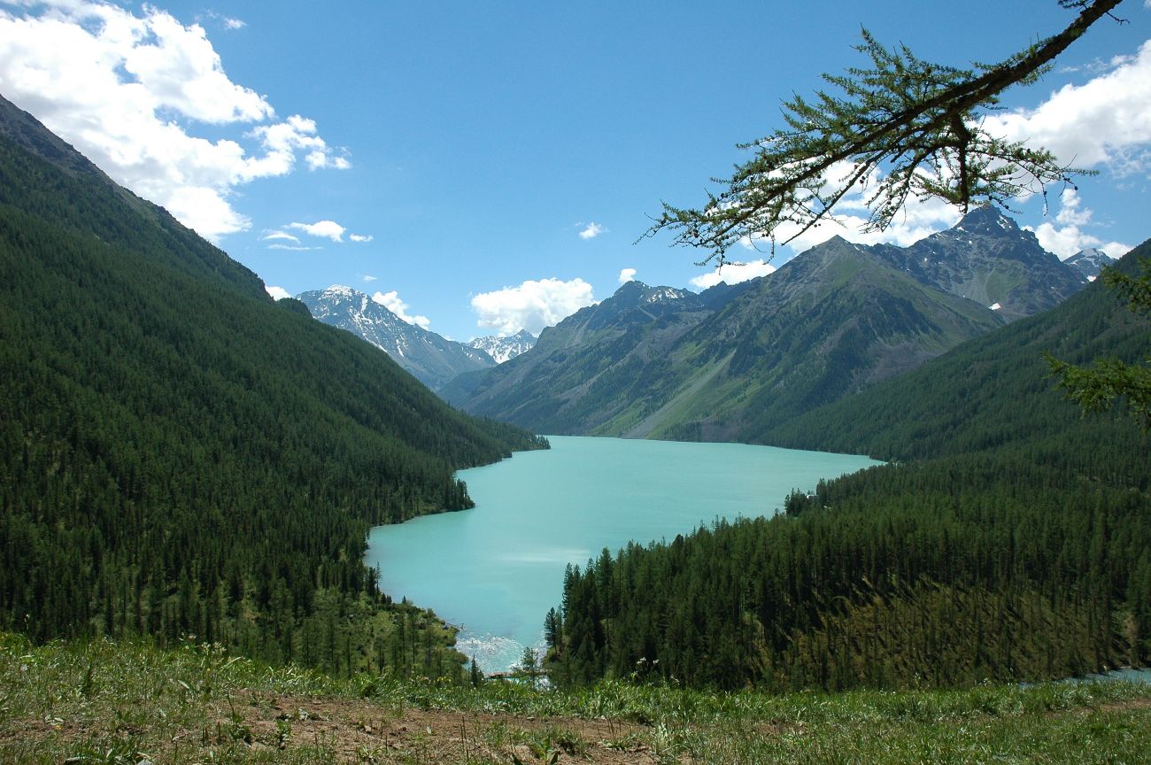Озеро Кучерлинское, изображение ландшафта.
