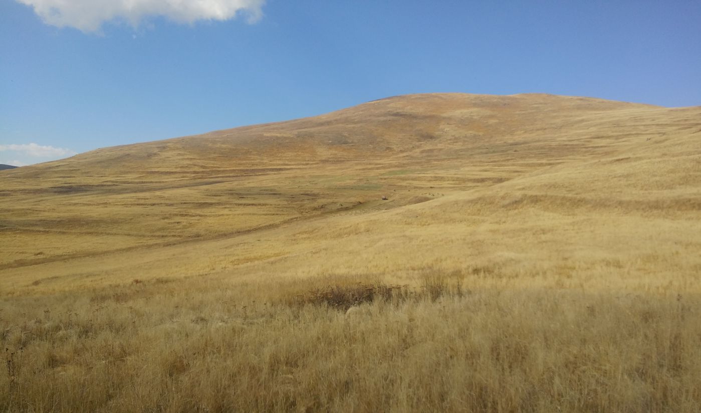 Урочище Cело Георгицминда, image of landscape/habitat.