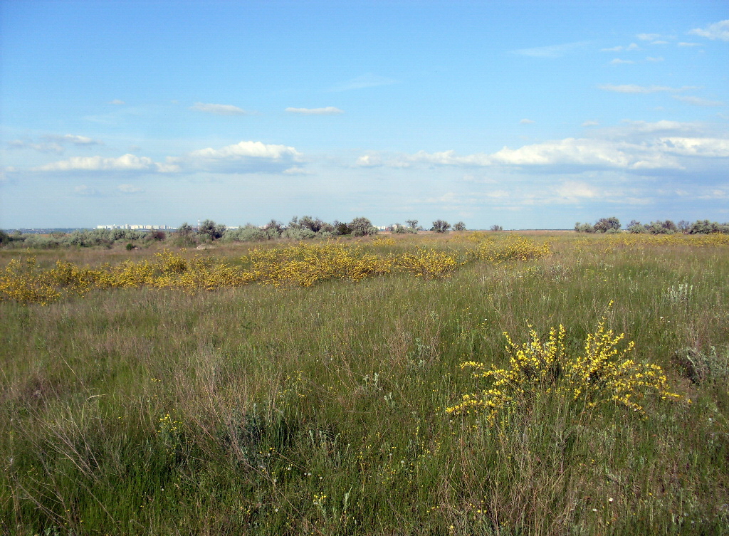 Дельта Дона, image of landscape/habitat.