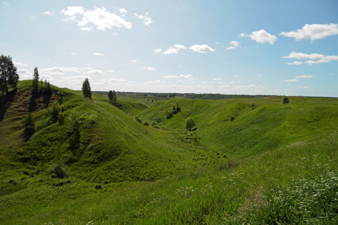 Окрестности Боровичей, image of landscape/habitat.