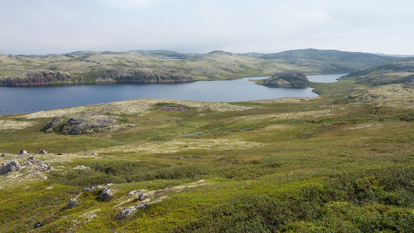 Столбовое озеро, image of landscape/habitat.