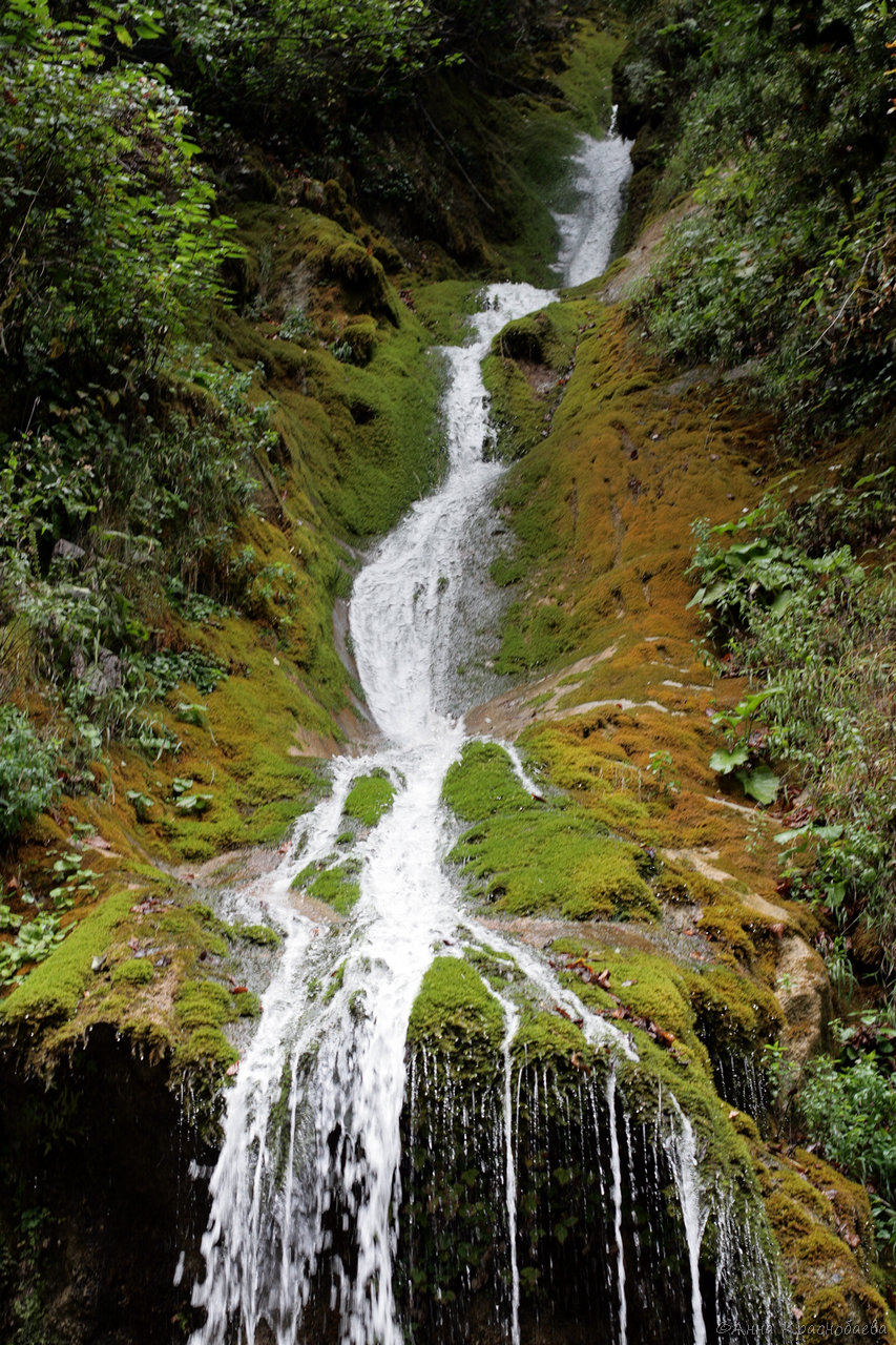 Юпшарский каньон, image of landscape/habitat.