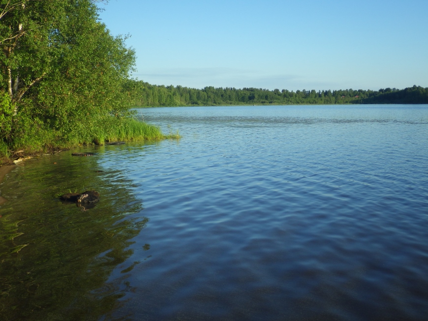 Лемболовское озеро, изображение ландшафта.