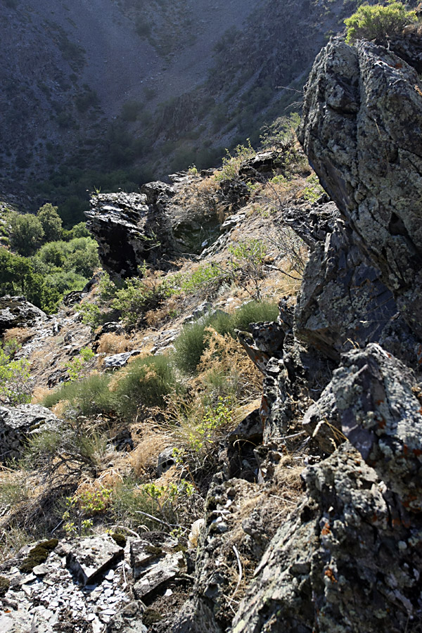 Ущелье Саясу, изображение ландшафта.