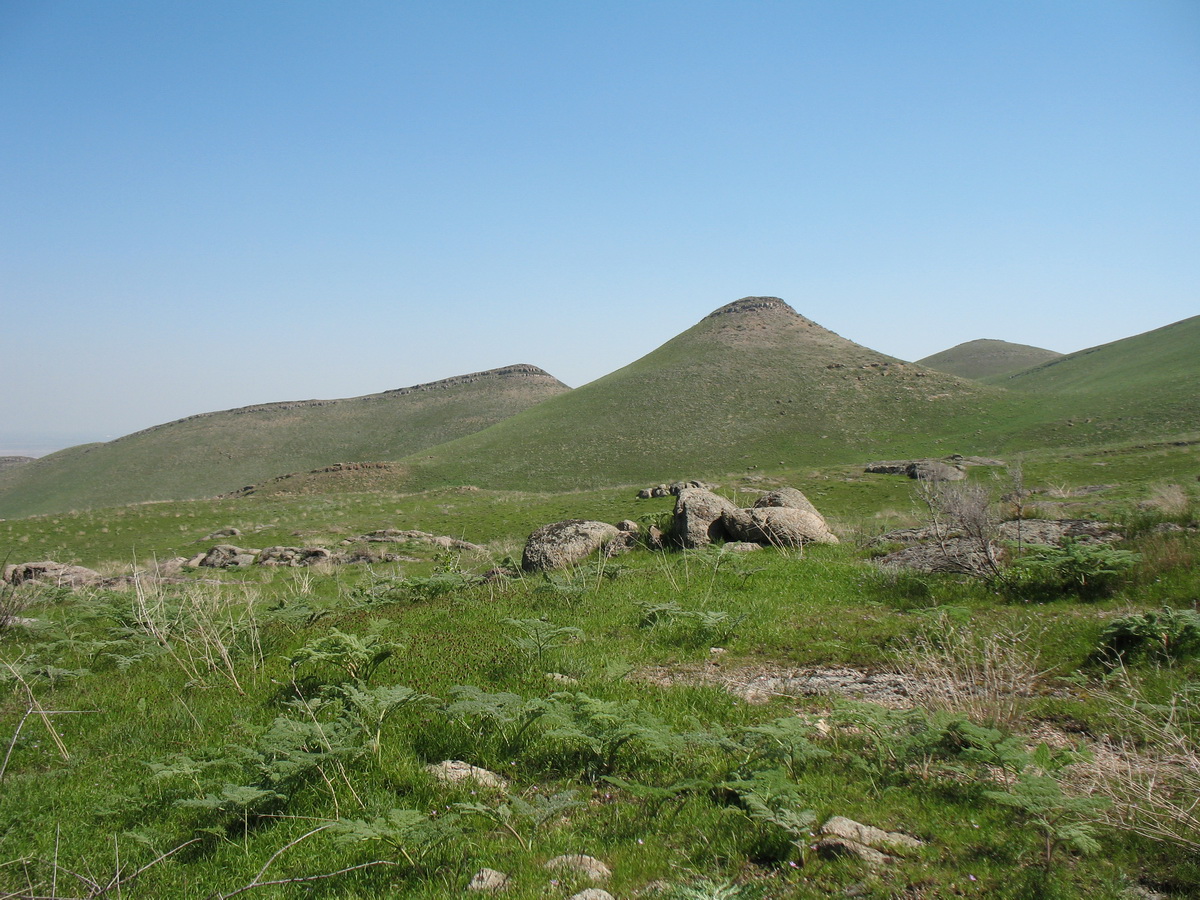 Улькунбурултау (север), image of landscape/habitat.