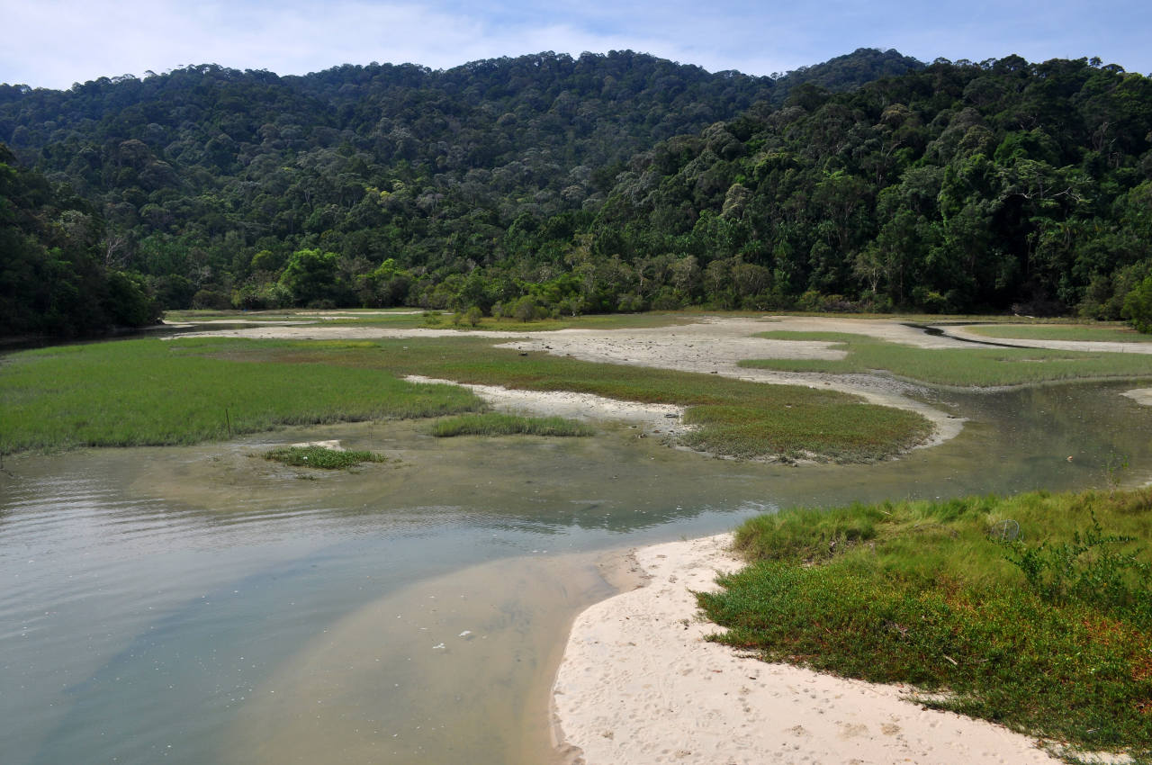 Национальный парк Пенанг, изображение ландшафта.