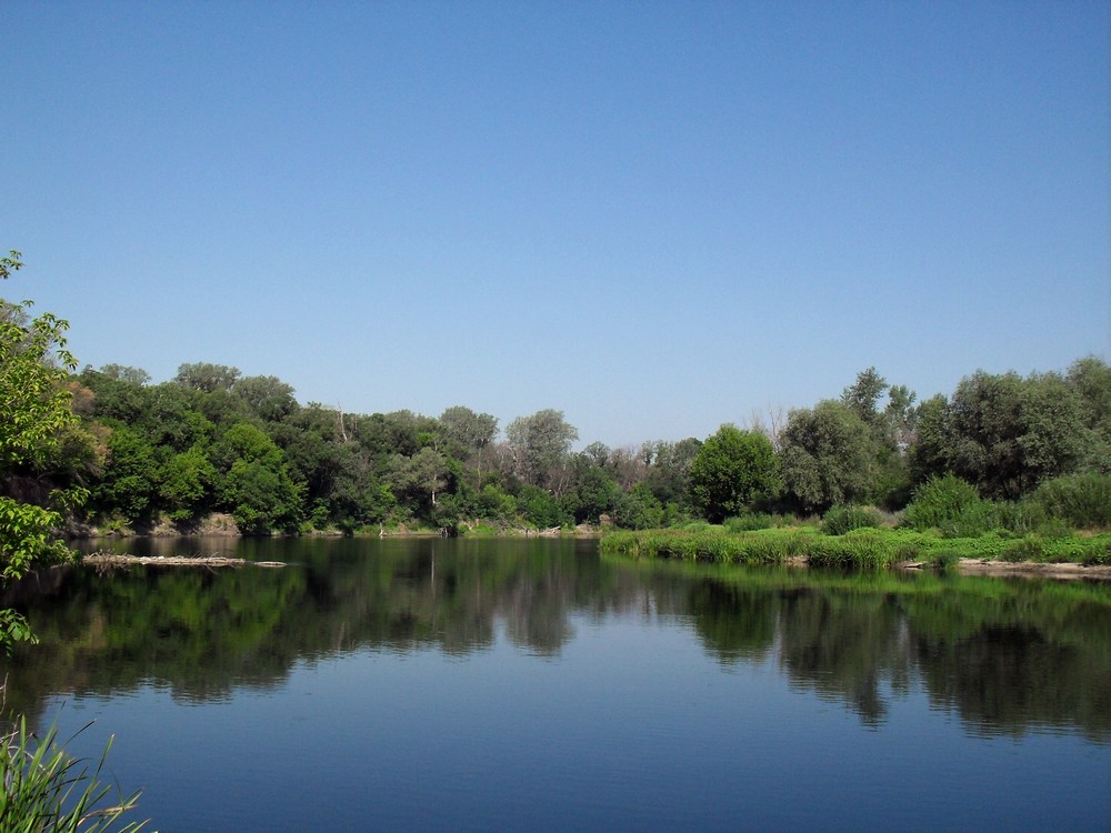 Луганск и окрестности, image of landscape/habitat.