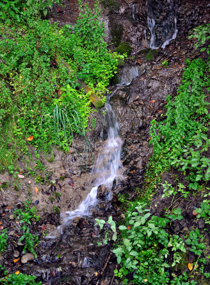 Гремячий ключ, image of landscape/habitat.