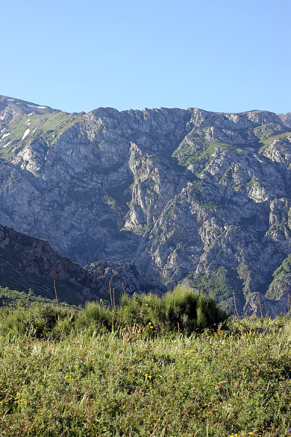 Ущелье Бургулюк, изображение ландшафта.