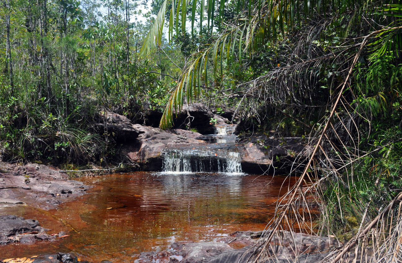 Национальный парк "Бако", image of landscape/habitat.