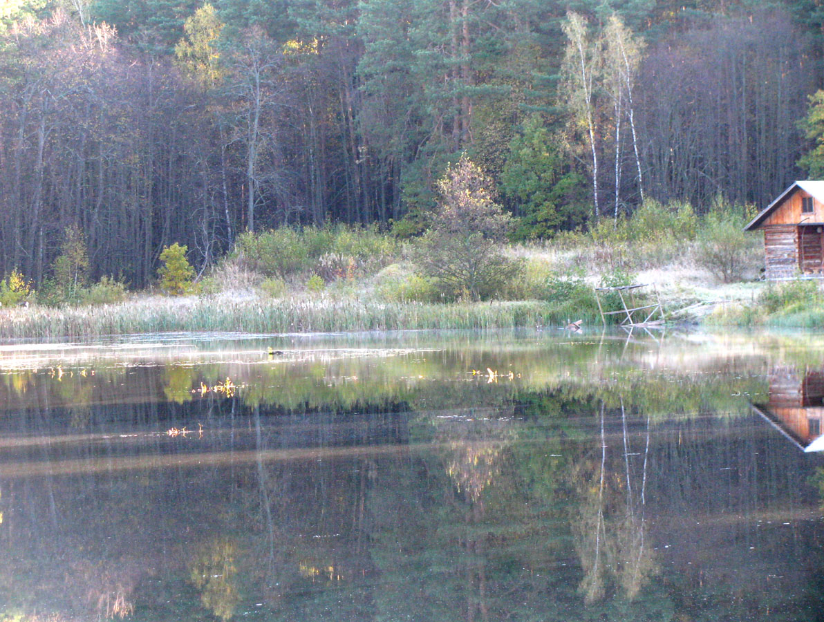 Приокско-Террасный заповедник, изображение ландшафта.