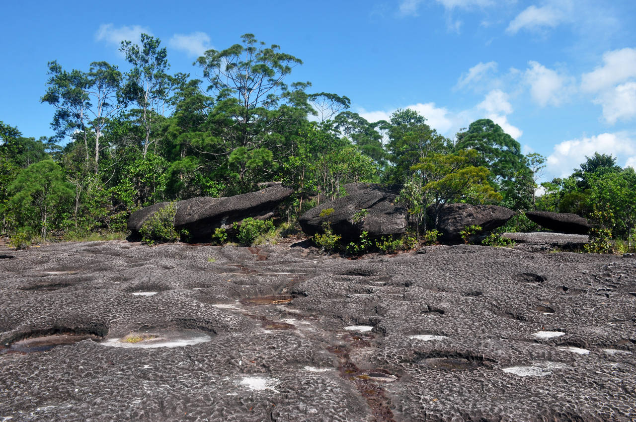 Национальный парк "Бако", image of landscape/habitat.