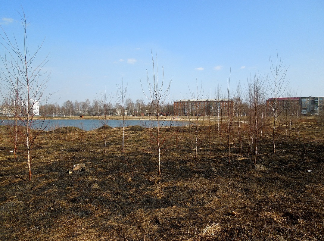 Стахановское озеро, image of landscape/habitat.
