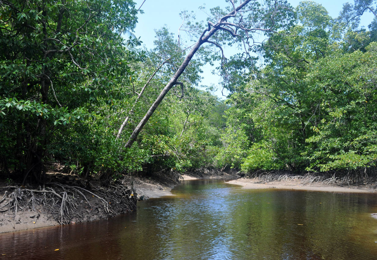 Национальный парк "Бако", изображение ландшафта.