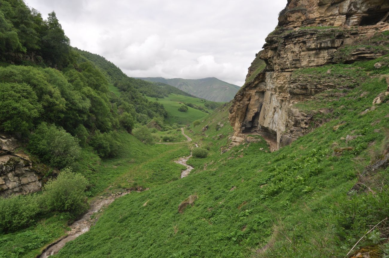 Окрестности скалы Арка, изображение ландшафта.