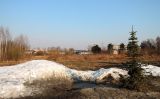 Электрогорск и его окрестности, изображение ландшафта.