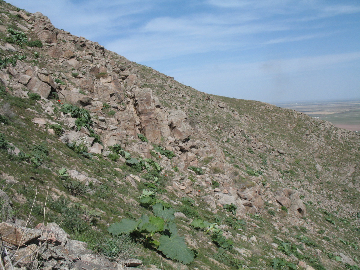 Улькунбурултау (север), изображение ландшафта.