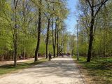 Воронцовский парк, изображение ландшафта.