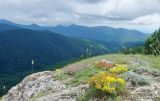 Истоки реки Ачибс, image of landscape/habitat.