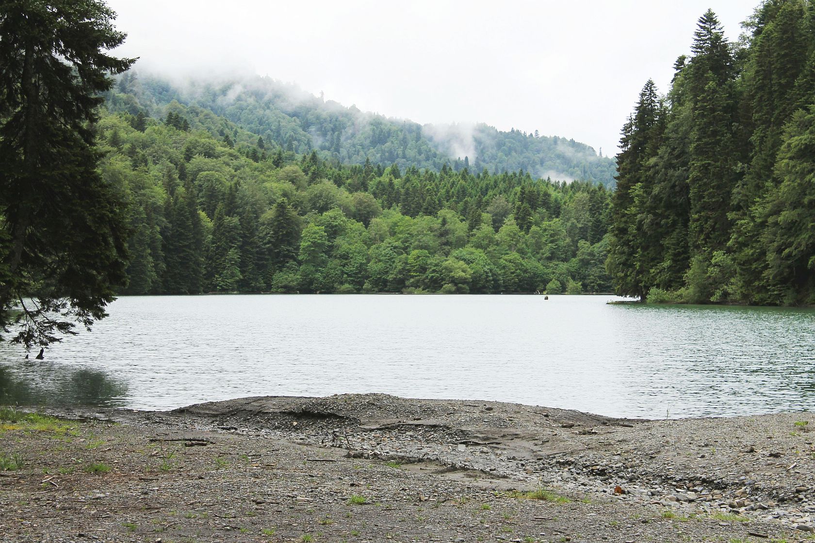 Озеро Коз, image of landscape/habitat.