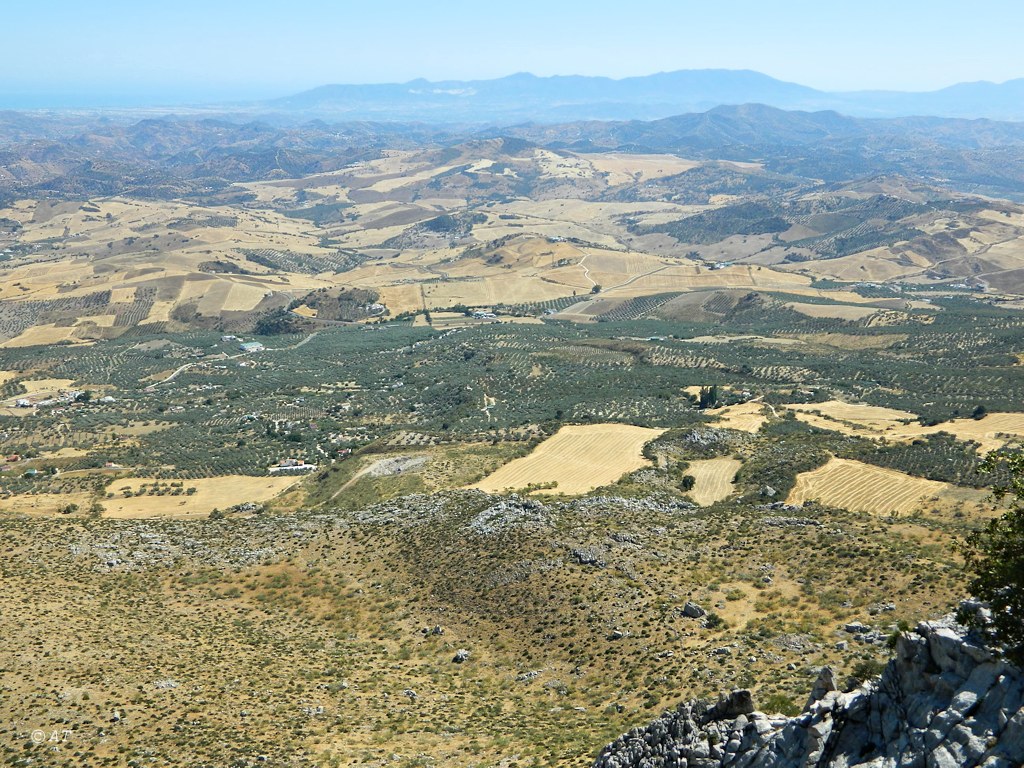 Торкаль-де-Антекера, изображение ландшафта.