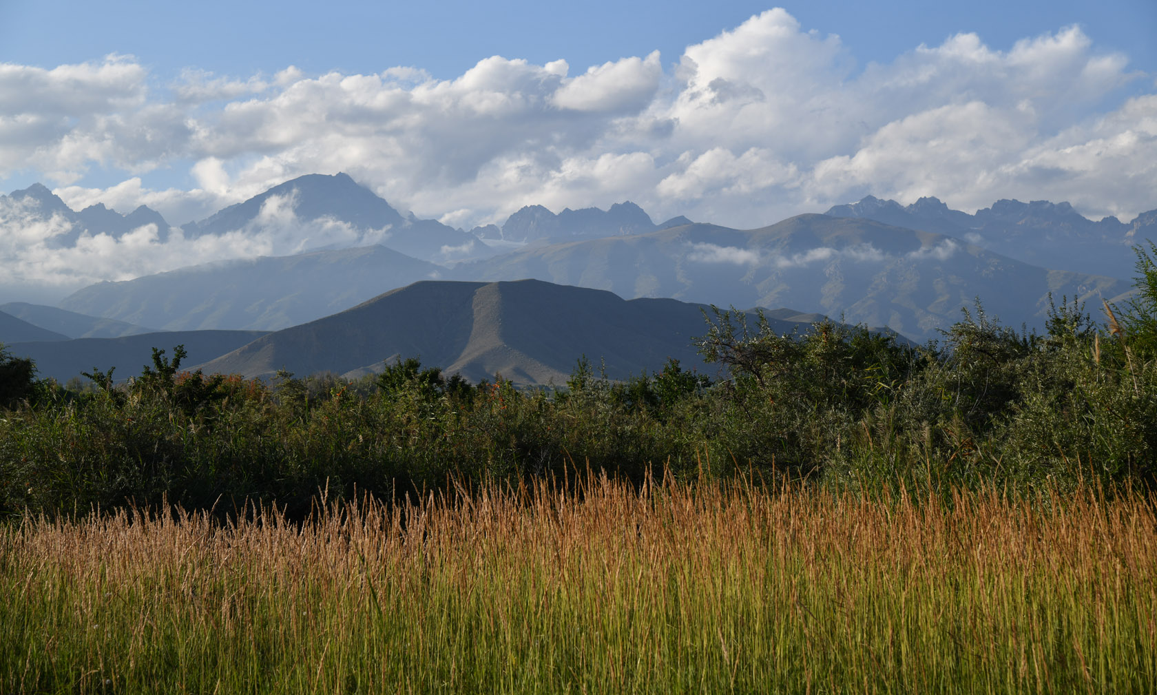 Чолпон-Ата, изображение ландшафта.