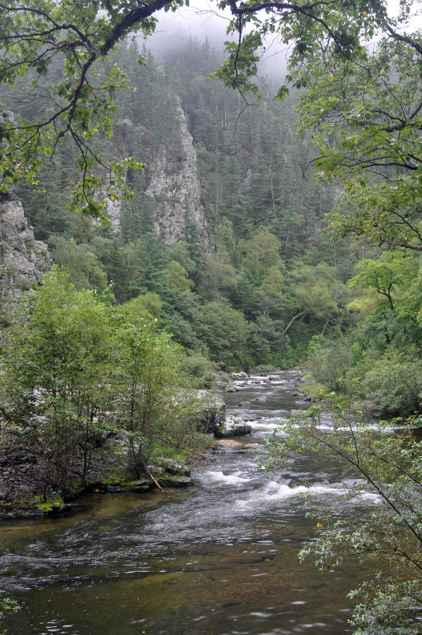 Долина реки Милоградовка, изображение ландшафта.
