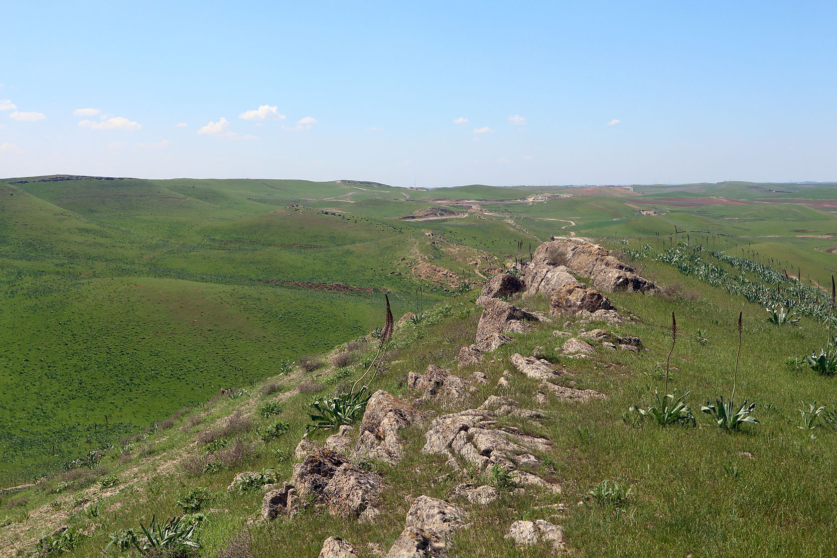 Окрестности посёлка Майский, image of landscape/habitat.