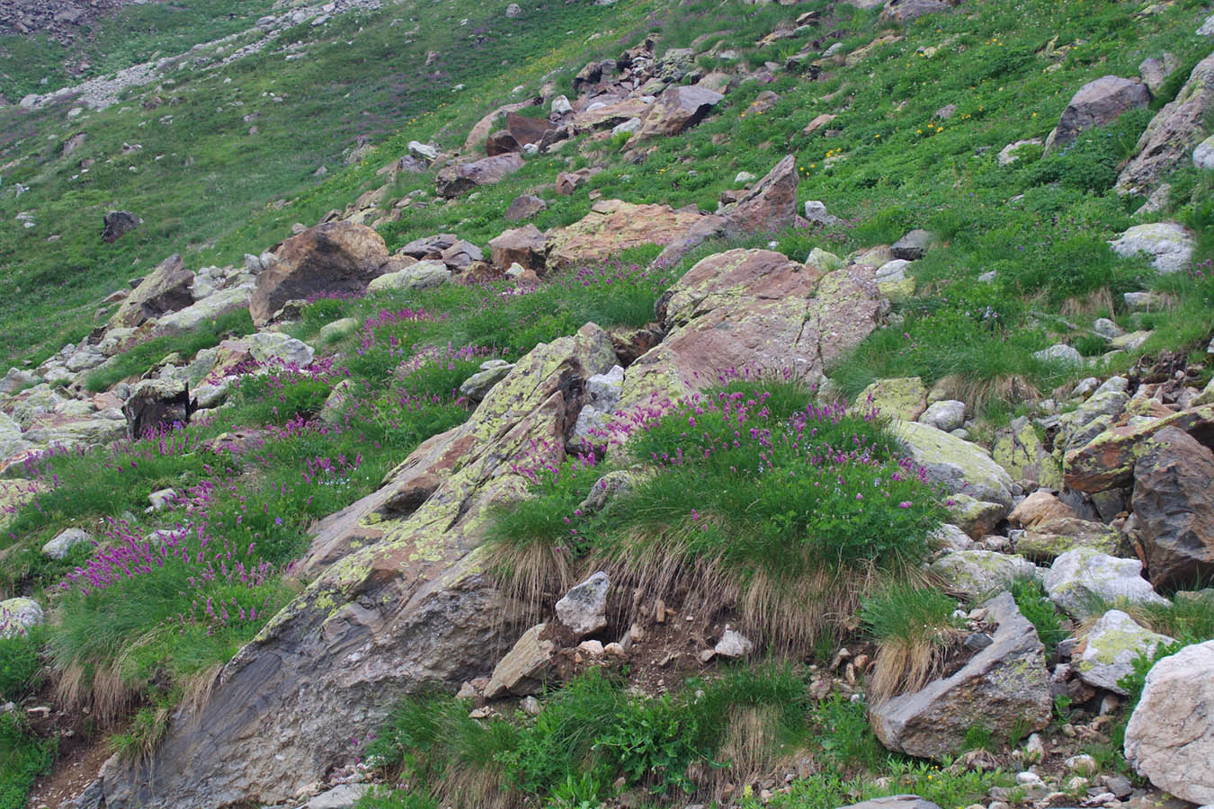 Гора Мусса-Ачитара, изображение ландшафта.