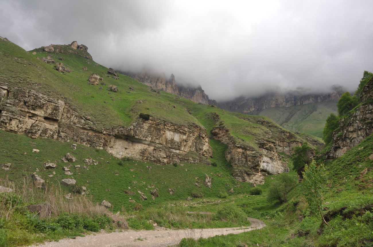 Окрестности скалы Арка, изображение ландшафта.