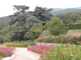 Никитский ботанический сад, изображение ландшафта.