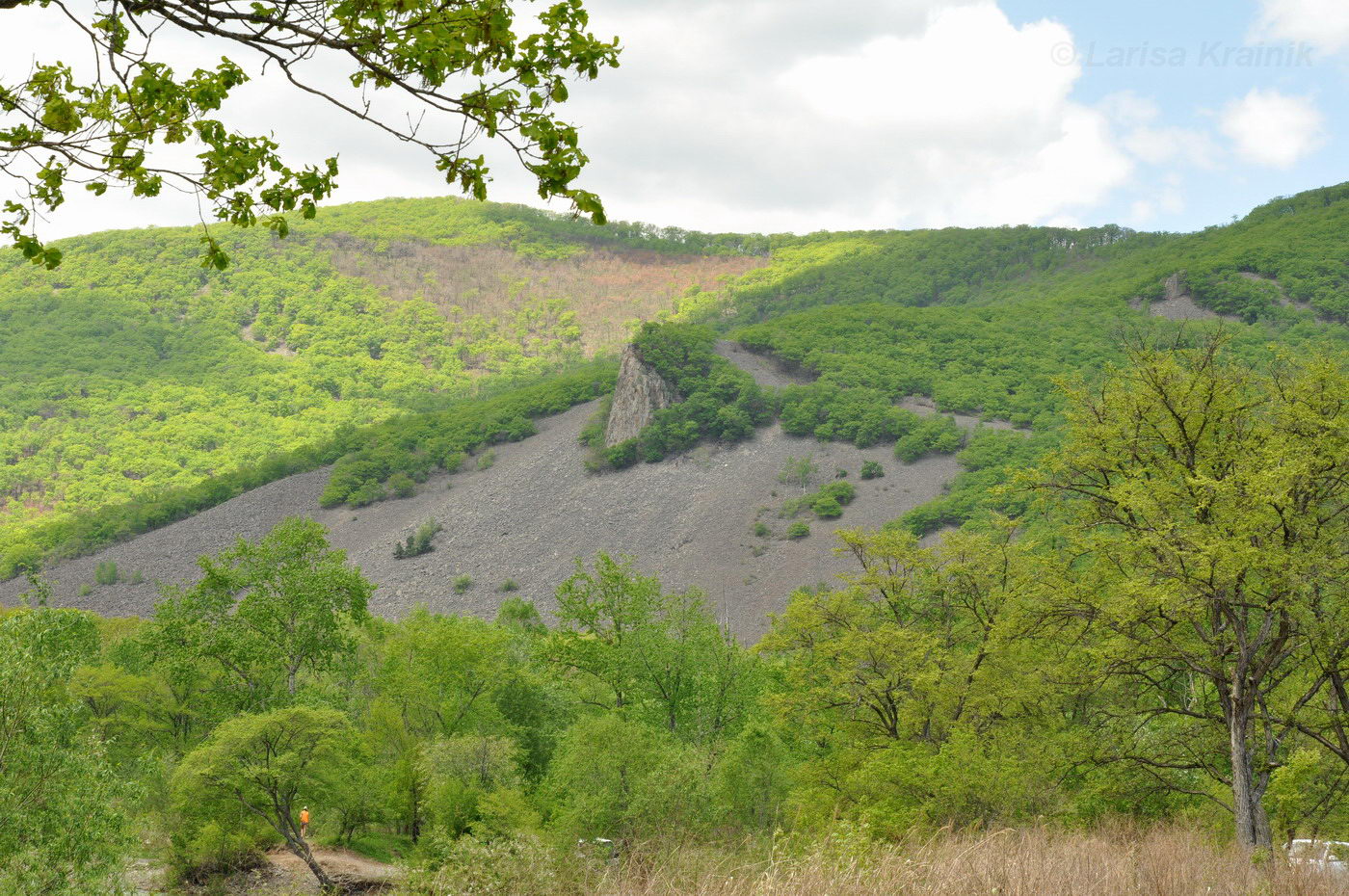 Урочище Щёки (Дарданеллы), изображение ландшафта.