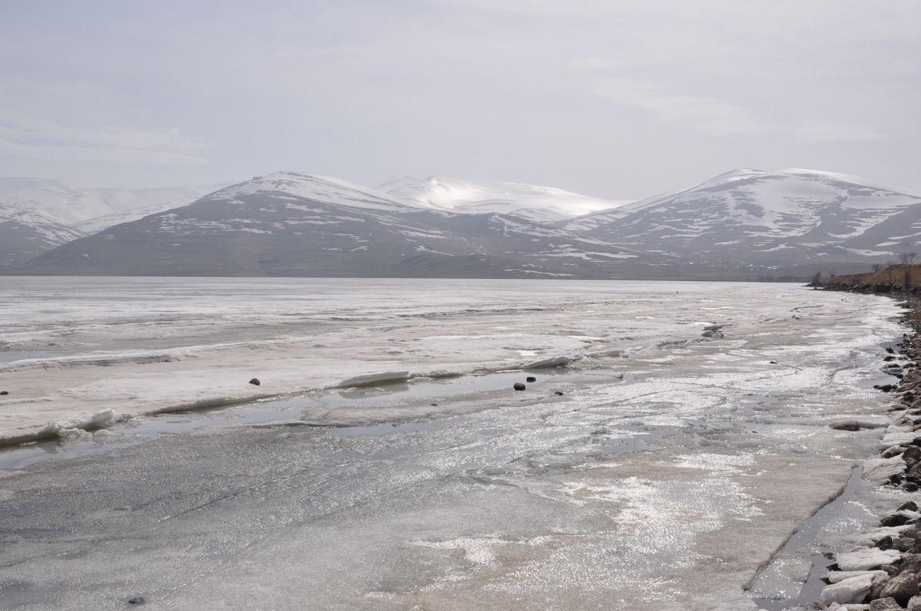 Озеро Чилдыр, image of landscape/habitat.