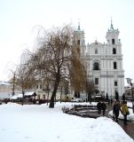 Salix babylonica. Дерево в состоянии покоя. Беларусь, г. Гродно, пл. Советская, в озеленении. 23.12.2018.