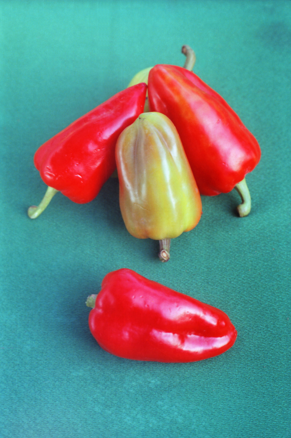 Image of Capsicum annuum specimen.