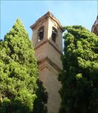 Cupressus sempervirens. Верхушки крон взрослых растений. Италия, Тоскана, г. Флоренция, в культуре. 28 июля 2010 г.