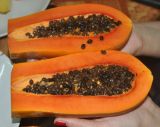 Carica papaya. Зрелый плод в разрезе. Таиланд, Краби. 18.06.2013.