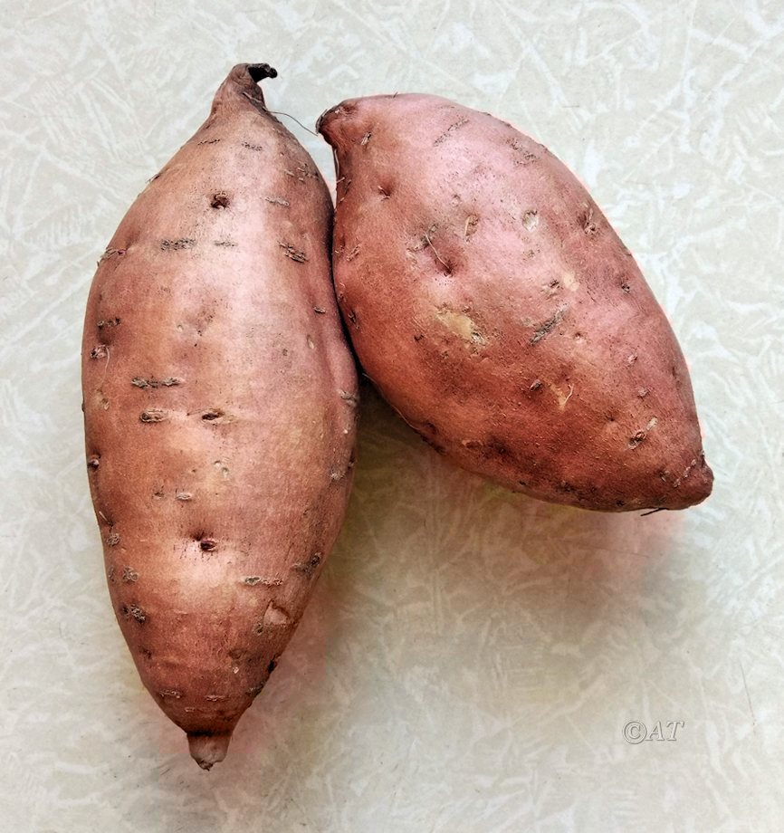 Изображение особи Ipomoea batatas.