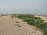Image of landscape