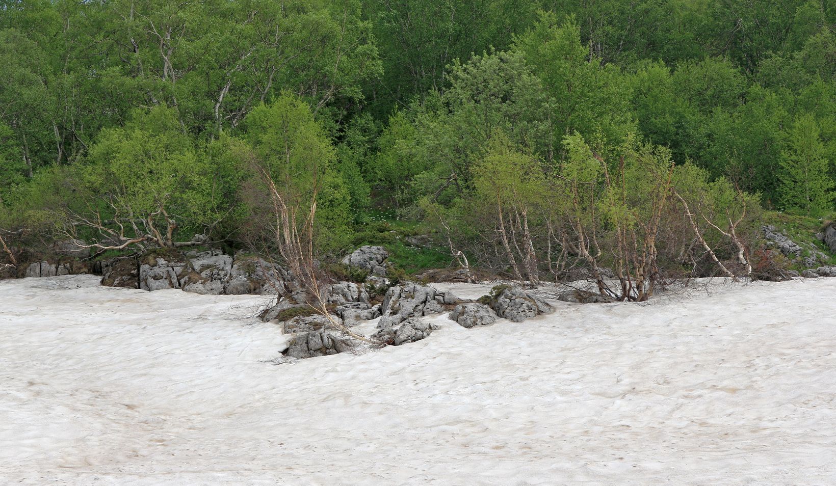 Каменное Море, image of landscape/habitat.