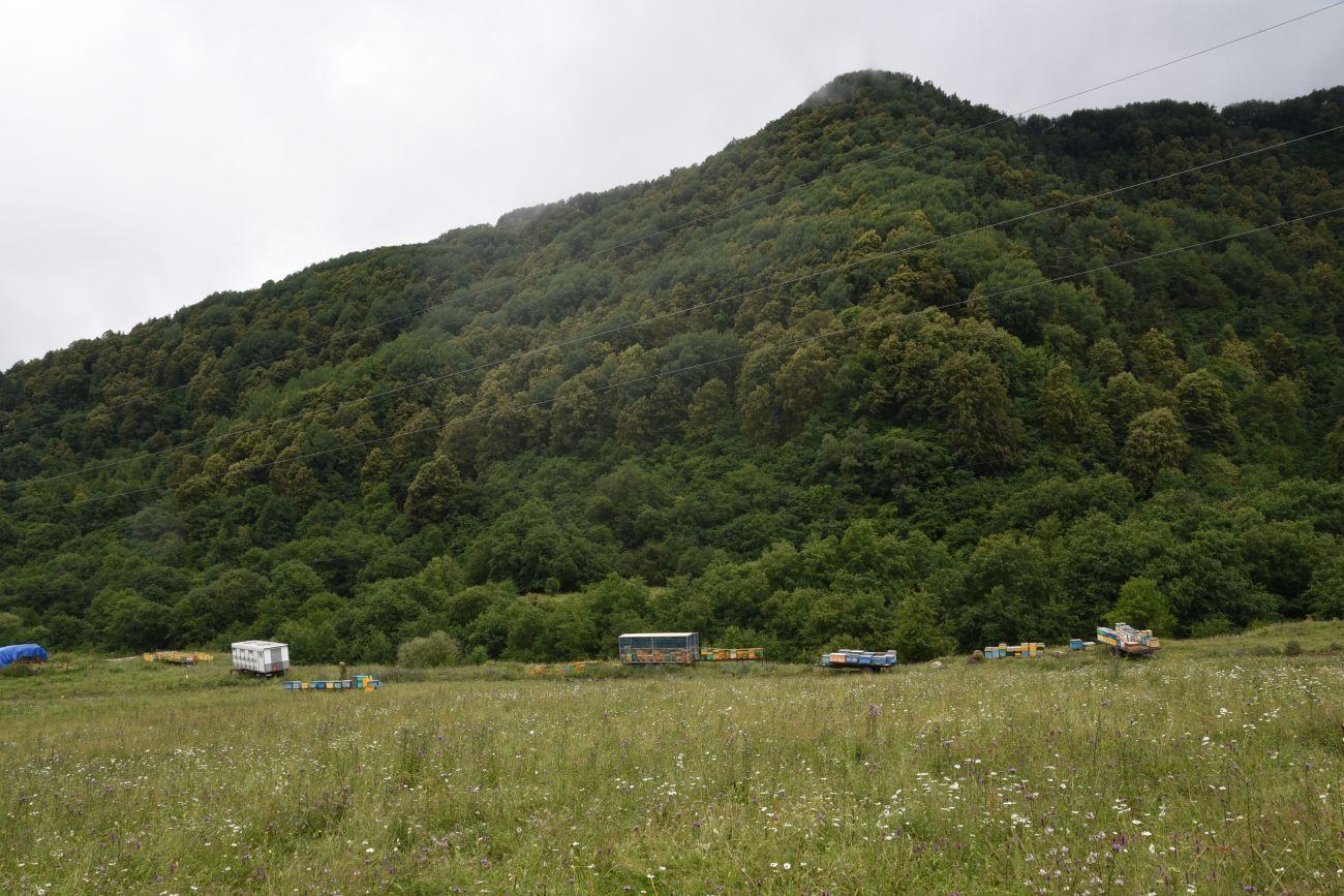 Нижний Кяхк и окрестности, image of landscape/habitat.