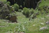 Image of landscape