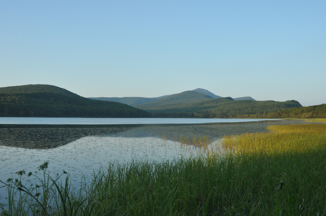 Озеро Японское, image of landscape/habitat.