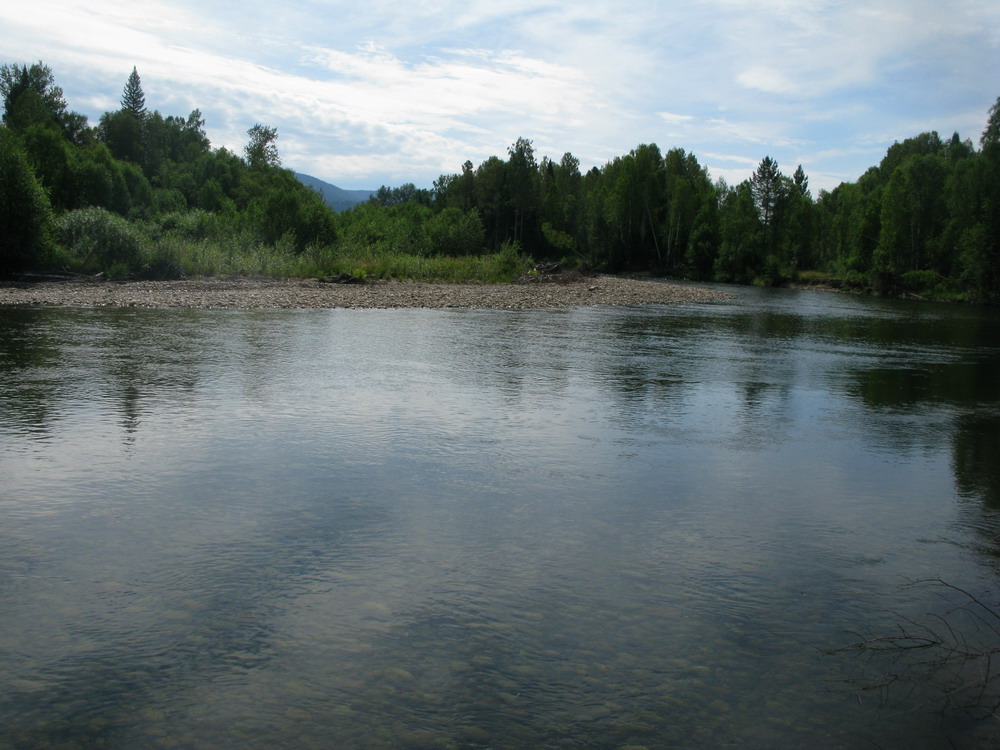 Сибирячка, image of landscape/habitat.